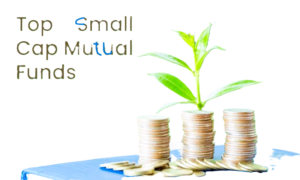 top-5-small-cap-mutual-funds