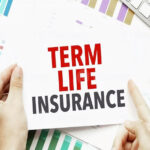 term life insurance
