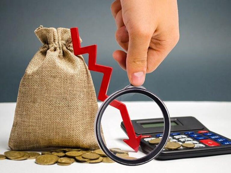 indian economy