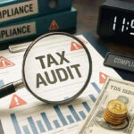tax audit